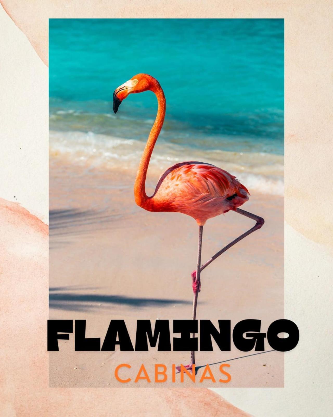 Cabinas Flamingo Playa Flamingo Esterno foto